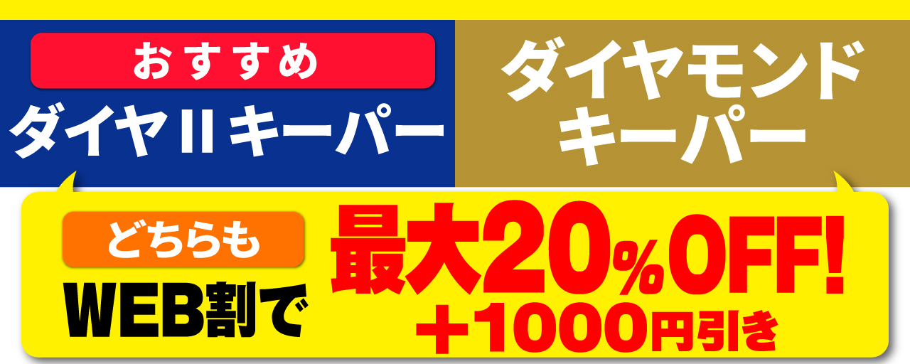 エコダイヤ・Wダイヤキーパー